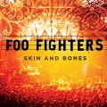  Foo Fighters ‎– Skin And Bones 